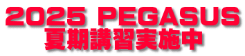 2025 PEGASUS 夏期講習実施中